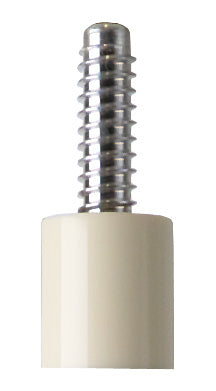www.budgetcues.com
